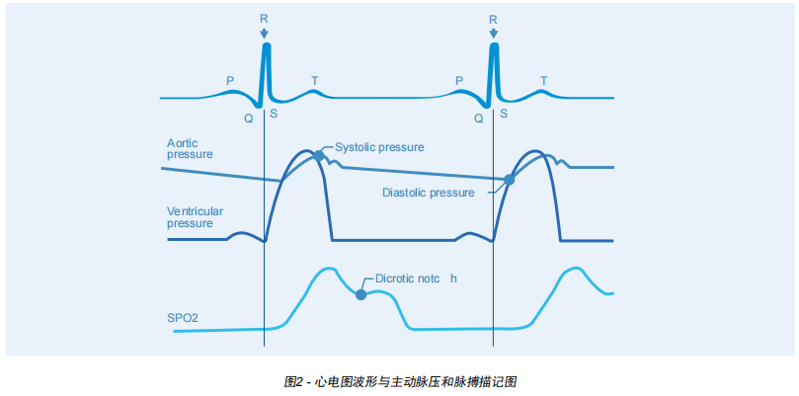 Rigel系列医疗测试设备之生命体征测量方法